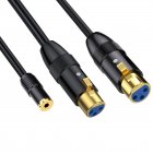 3.5mm 1/8" TRS Audio Stereo Jack to Dual XLR Female Microphone Splitter Cable 3.5mm 1/8" TRS Audio Stereo Jack to Dual XLR Female Microphone Splitter Cable