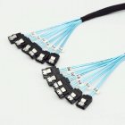 6 SATA 7-pin to 6 SATA Parallel Set Cable for Server 6 SATA 7-pin to 6 SATA Parallel Set Cable for Server